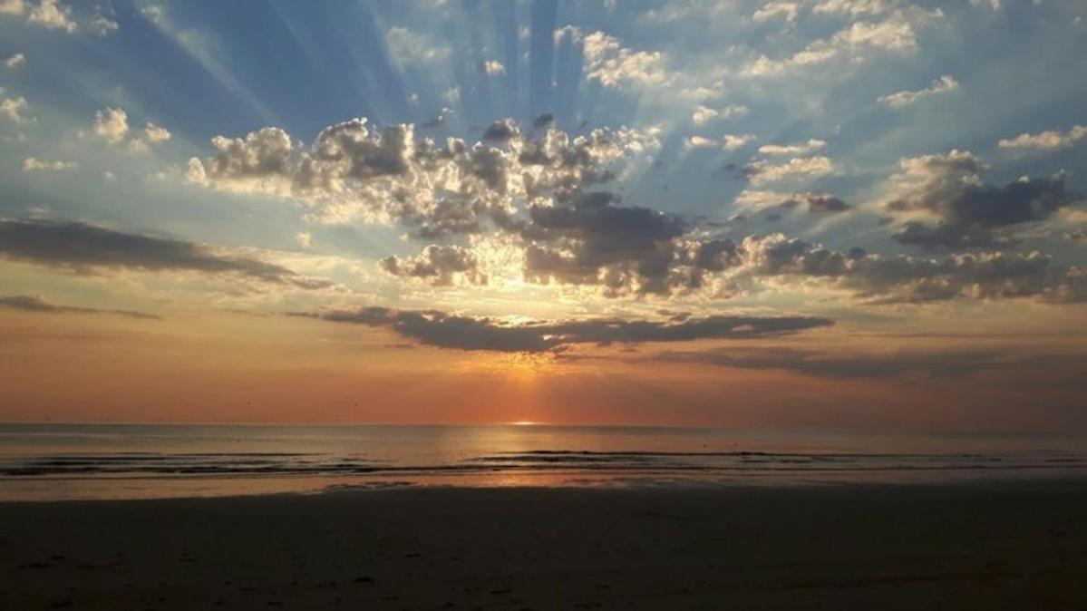 Strand83 Egmond aan Zee Kültér fotó